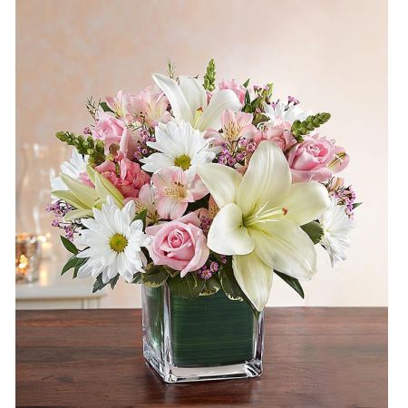 Soothing Sorrows Pink & White