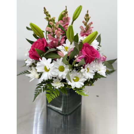 Conroy's Flowers El Cajon El Cajon - Embrace the sentiment of beauty, grace, and sweetness with Soothing Sorrows Pink and White. This sympathy arrangement features delicate blooms, including gentle pink roses and white lilies, expertly gathered in a clear glass cube lined with a Ti leaf ribbon. It serves as an exquisite and comforting gesture during times of loss. With our same-day flower delivery, you can promptly offer solace and support to those in mourning. "Healing Tears Pink and White" is a thoughtful expression of sympathy, bringing a touch of elegance and comfort to those facing difficult moments.





