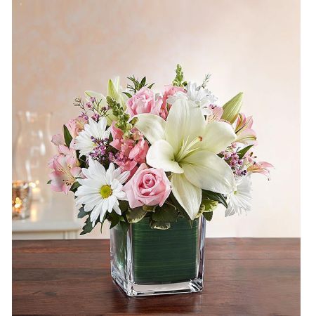 Soothing Sorrows Pink & White