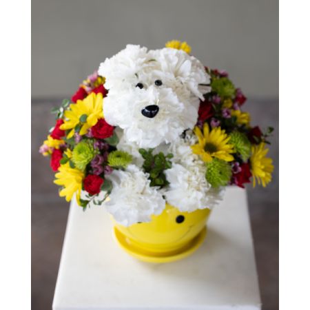Conroy's Flowers El Cajon El Cajon - the perfect birthday surprise for dog lovers! This adorable floral creation features a playful dog design crafted from bright and cheery blooms. Presented in a smiley face vase, it's sure to bring joy to any birthday celebration.