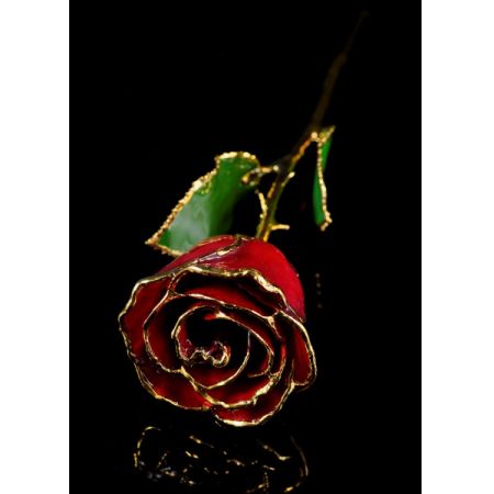 January Rose - Garnet Gold Trimmed Rose