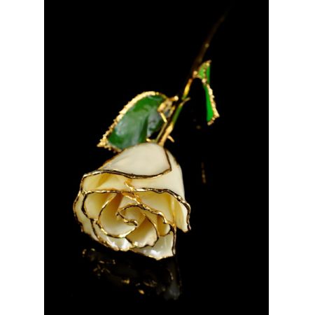 April Rose - Opal Gold Trimmed Rose