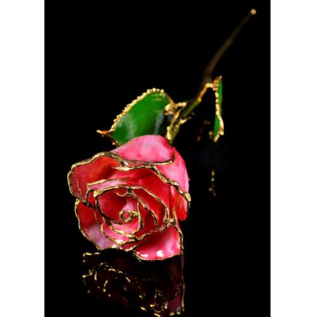 July Rose - Ruby Gold Trimmed Rose