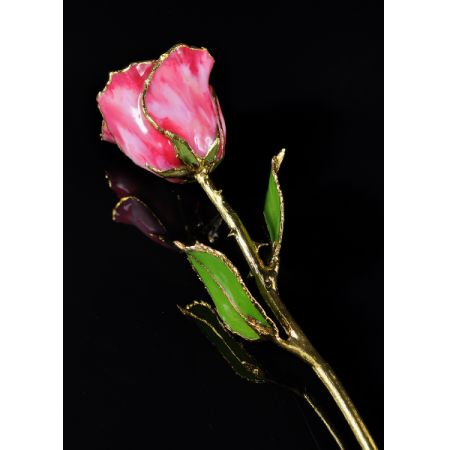 Conroy's Flowers El Cajon El Cajon - "Rose has long been a symbol of love and beauty"

This product contains a real rose that is hand-picked. With a timeless beauty of nature, each rose is carefully selected, sized and preserved at the peak of its beauty.

A fine delicate layer of lacquer has been applied then electroformed and completed with 24k gold finish.

This marvelous gift of nature is now transformed into a treasure that lasts a lifetime.