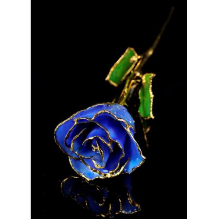 December Rose - Tanzanite Gold Trimmed Rose
