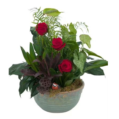 Morningside Florist Rancho Cordova - Varieties of green plants in a ceramic container accented with roses and a bird. Container and flowers may vary depending on availability.