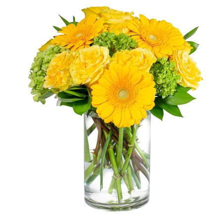 Morningside Florist Rancho Cordova - A gorgeous bright, fun arrangement is bound to brighten anyone's day. This happy arrangement has roses, hydrangeas and gerbera daisies to make it a one-of-a-kind arrangement.
