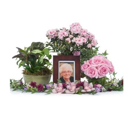 Morningside Florist Rancho Cordova - This collection of plants and flowers will make a special tribute to a lovely lady.  Inquire about color options.  *Picture and frame not included