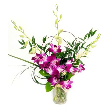 Morningside Florist Rancho Cordova - Our quartet of dendrobium orchid stems makes an elegant and simple statement. Beautiful, delicate, and refined, they may are a wonderful expression of Thanks, I Love You, or a Just Because gift to brighten their day. Pair it with chocolates or a balloon at checkout to personalize your gift!  Learn more about orchids and their symbolism.