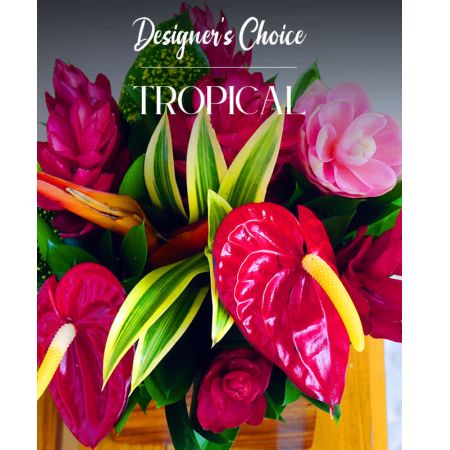Morningside Florist Rancho Cordova - Transport yourself to a lush, exotic paradise with our Designer's Choice Tropical Floral selection. Perfect for adding a fresh and vibrant touch to your home or office, these tropical florals are chosen for their beauty.