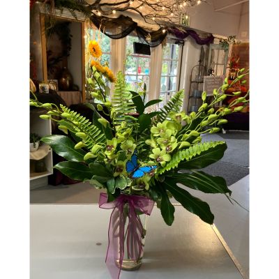Morningside Florist Rancho Cordova - Beautiful green dendrobium orchids are vibrant and fun for any occasion 