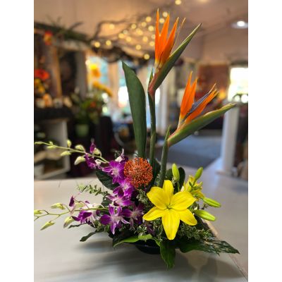 Morningside Florist Rancho Cordova - This is a tropical floral arrangement featuring a vibrant mix of flowers and foliage. It includes two tall, orange and blue-purple Bird of Paradise flowers, complemented by purple orchids, a yellow lily, and a unique orange pincushion protea, all accented with green leaves.