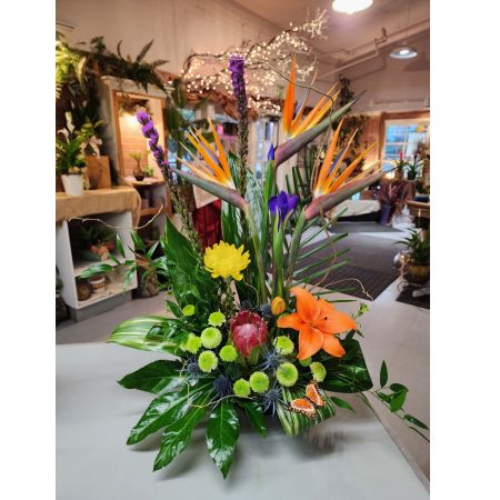 Morningside Florist Rancho Cordova - Birds of Paradise arrangements are stunning and vibrant. These arrangements feature the striking orange and blue flowers of the Bird of Paradise, complemented by lush greenery or other tropical blooms. They make excellent centerpieces for events or gifts for special occasions.