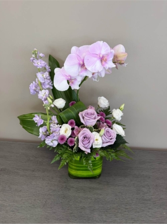 Blooms of Wayne Wayne - Let the 'Orchid Dance' arrangement sweep you away with its delicate beauty and sophisticated charm. This stunning bouquet features a graceful cascade of premium orchids evoking a sense of refined elegance and peaceful serenity. Imagine the soft touch of the petals,  the subtle sweet fragrance filling a room and the captivating visual rhythm of these exquisite blooms.  Perfect for expressing heartfelt admiration,  celebrating a special milestone or simply bringing a touch of luxury to your own space ‘Orchid Dance’ is a gift that speaks volumes without saying a word. Bring a piece of timeless beauty into your life with this exceptional orchid creation.