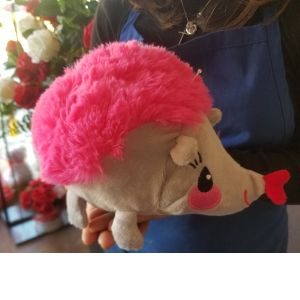 Susie the Hedgehog of Love