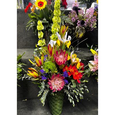 DiBella Flowers & Gifts Las Vegas - Tropical mix of flowers in a green ceramic 