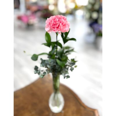 Single Carnation Budvase Addon