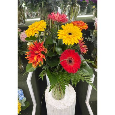 DiBella Flowers & Gifts Las Vegas - Splash of Color Arrangement IN THE COOLER 