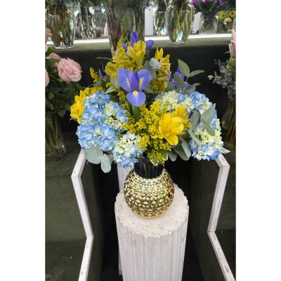 DiBella Flowers & Gifts Las Vegas - Blue and Gold Arrangement IN THE COOLER