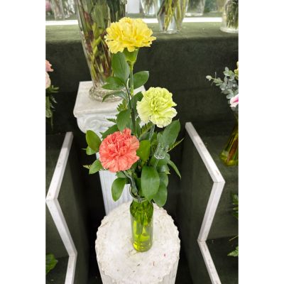 DiBella Flowers & Gifts Las Vegas - 3 Carnation Budvase IN THE COOLER 