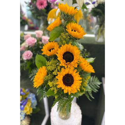 DiBella Flowers & Gifts Las Vegas - Sunny Sunflowers Arrangement IN THE COOLER 