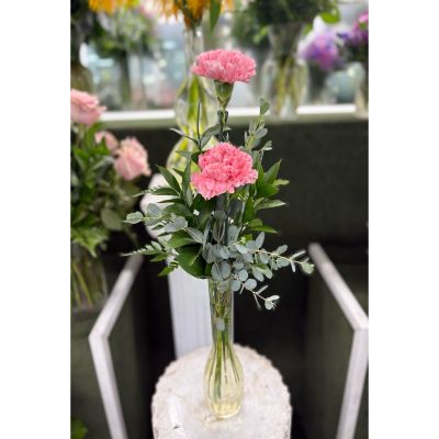 DiBella Flowers & Gifts Las Vegas - Double Carnation Budvase Arrangement IN THE COOLER 