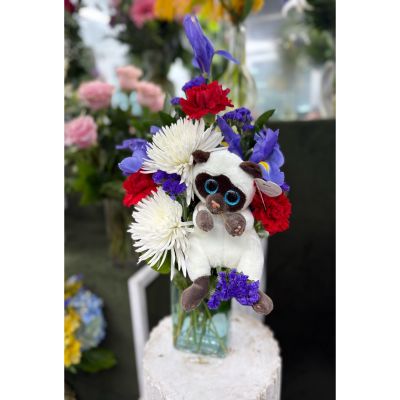 DiBella Flowers & Gifts Las Vegas - The Cats Meow Arrangement IN THE COOLER