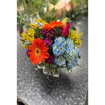 DiBella Flowers & Gifts Las Vegas - Hydrangeas, Gerber Daisies, Roses, Lilies, Alstromeria, Trick, and Allium in a cube vase 