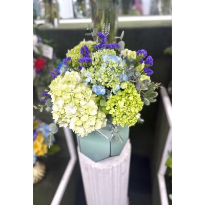 DiBella Flowers & Gifts Las Vegas - Hydrangea Arrangement IN THE COOLER 