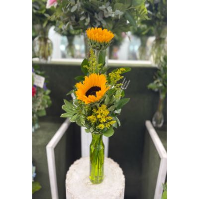 DiBella Flowers & Gifts Las Vegas - Sunflower Budvase Arrangement IN THE COOLER