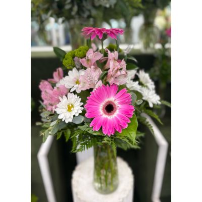 DiBella Flowers & Gifts Las Vegas - Pink and White Arrangement IN THE COOLER 