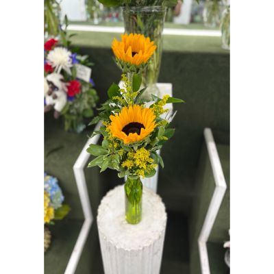 DiBella Flowers & Gifts Las Vegas - Sunflower Budvase IN THE COOLER 