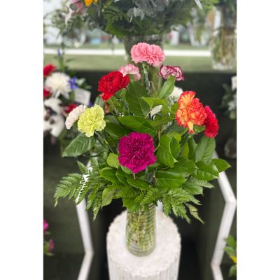 DiBella Flowers & Gifts Las Vegas - Mix of Carnation Arrangement IN THE 