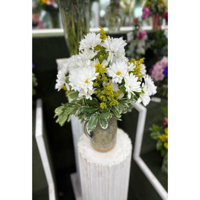 DiBella Flowers & Gifts Las Vegas - Hazy Daisy Arrangement IN THE COOLER 