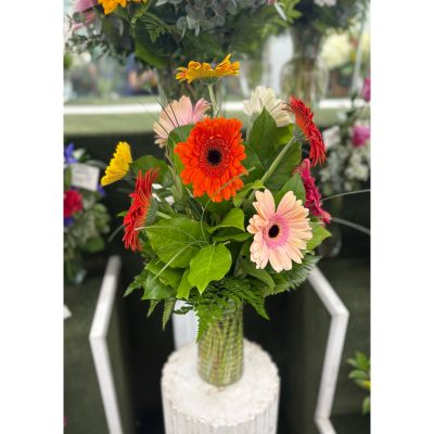 DiBella Flowers & Gifts Las Vegas - Splash of Color Arrangement IN THE COOLER 