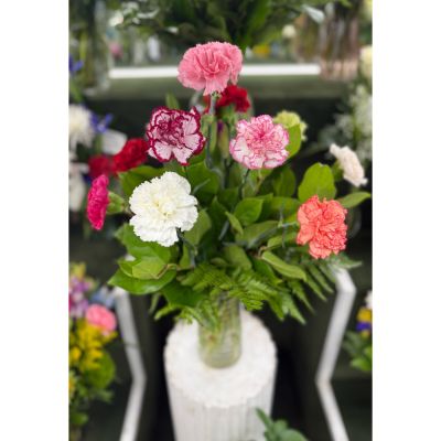 DiBella Flowers & Gifts Las Vegas - MIX OF CARNATION ARRANGEMENT IN THE COOLER