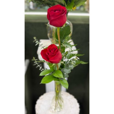 DiBella Flowers & Gifts Las Vegas - DOUBLE ROSE BUDVASE ARRANGEMENT IN THE COOLER