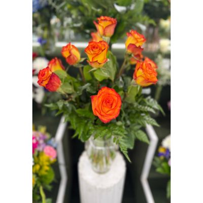 DiBella Flowers & Gifts Las Vegas - DOZEN CIRCUS ROSES IN THE COOLER