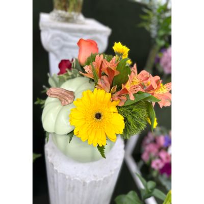 DiBella Flowers & Gifts Las Vegas - PUMPKIN VASE ARRANGEMENT IN THE COOLER