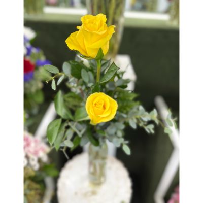 DiBella Flowers & Gifts Las Vegas - DOUBLE YELLOW ROSE BUDVASE ARRANGEMENT IN THE COOLER
