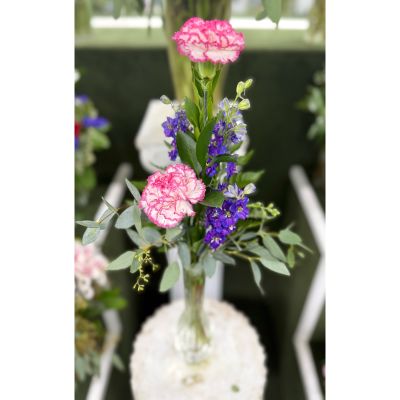 DiBella Flowers & Gifts Las Vegas - DOUBLE CARNATION BUDVASE ARRANGEMENT IN THE COOLER
