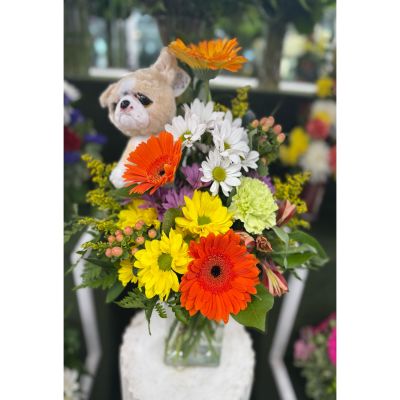 DiBella Flowers & Gifts Las Vegas - SOMETHING TO MAKE YOU SMILE ARRANGEMENT IN THE COOLER