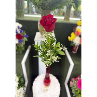 DiBella Flowers & Gifts Las Vegas - SINGLE ROSE BUDVASE ARRANGEMENT IN THE COOLER
