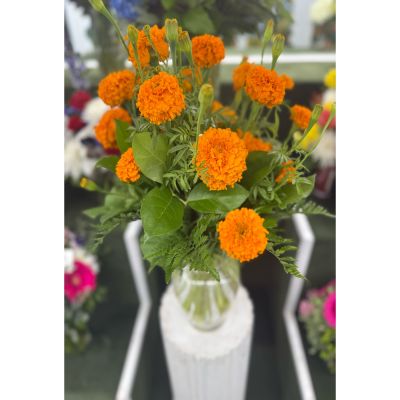 DiBella Flowers & Gifts Las Vegas - MARIGOLD ARRANGEMENT IN THE COOLER