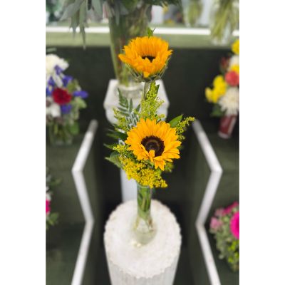 DiBella Flowers & Gifts Las Vegas - DOUBLE SUNFLOWER BUDVASE ARRANGEMENT IN THE COOLER
