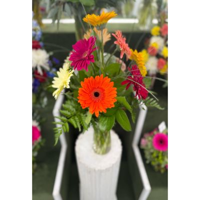 DiBella Flowers & Gifts Las Vegas - SPLASH OF COLOR ARRANGEMENT IN THE COOLER