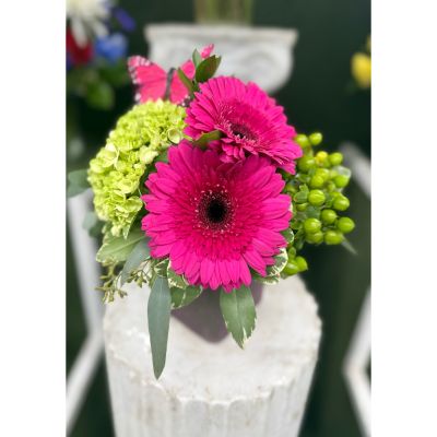 DiBella Flowers & Gifts Las Vegas - HOT PINK BUTTERFLY CUBE ARRANGEMENT IN THE COOLER