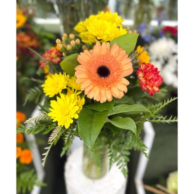 DiBella Flowers & Gifts Las Vegas - Citrus Sunshine Arrangement In the Cooler