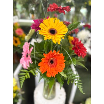 DiBella Flowers & Gifts Las Vegas - Splash of Color Arrangement In the Cooler