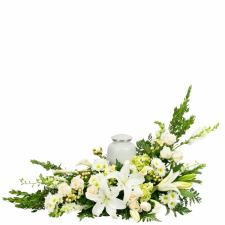 DiBella Flowers & Gifts Las Vegas - Heartfelt and commemorative, this urn arrangement showcases lovely blooms, in shades of white and green, cascading from a base of verdant seasonal greenery. This urn arrangement is designed to make sure the flowers accentuate your loved one's urn, making it a beautiful addition for any service. Medium size pictured here. <b><i>Urn is not included. Make sure your urn does not exceed 12"L x 9"W (any height OK).</i></b>

Medium (as shown) is approximately 36"L x 24"H

<i>This arrangement is custom designed using best-of-day seasonal flowers and may not feature the exact flowers shown. If an item is unavailable, we’ll substitute in products of equal or greater value. Please call us at 702-384-1121 to inquire about our flower selection before placing your order if you require specific flowers be included.</i>
